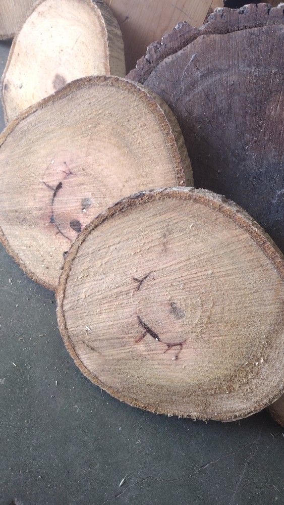 Rustic Round Wood Slices