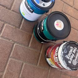 Paint 