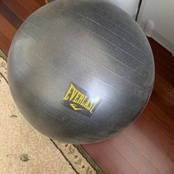 Exercise Ball