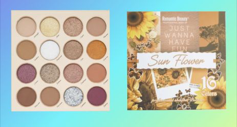 New Eyeshadow Palette Great Picmentation 