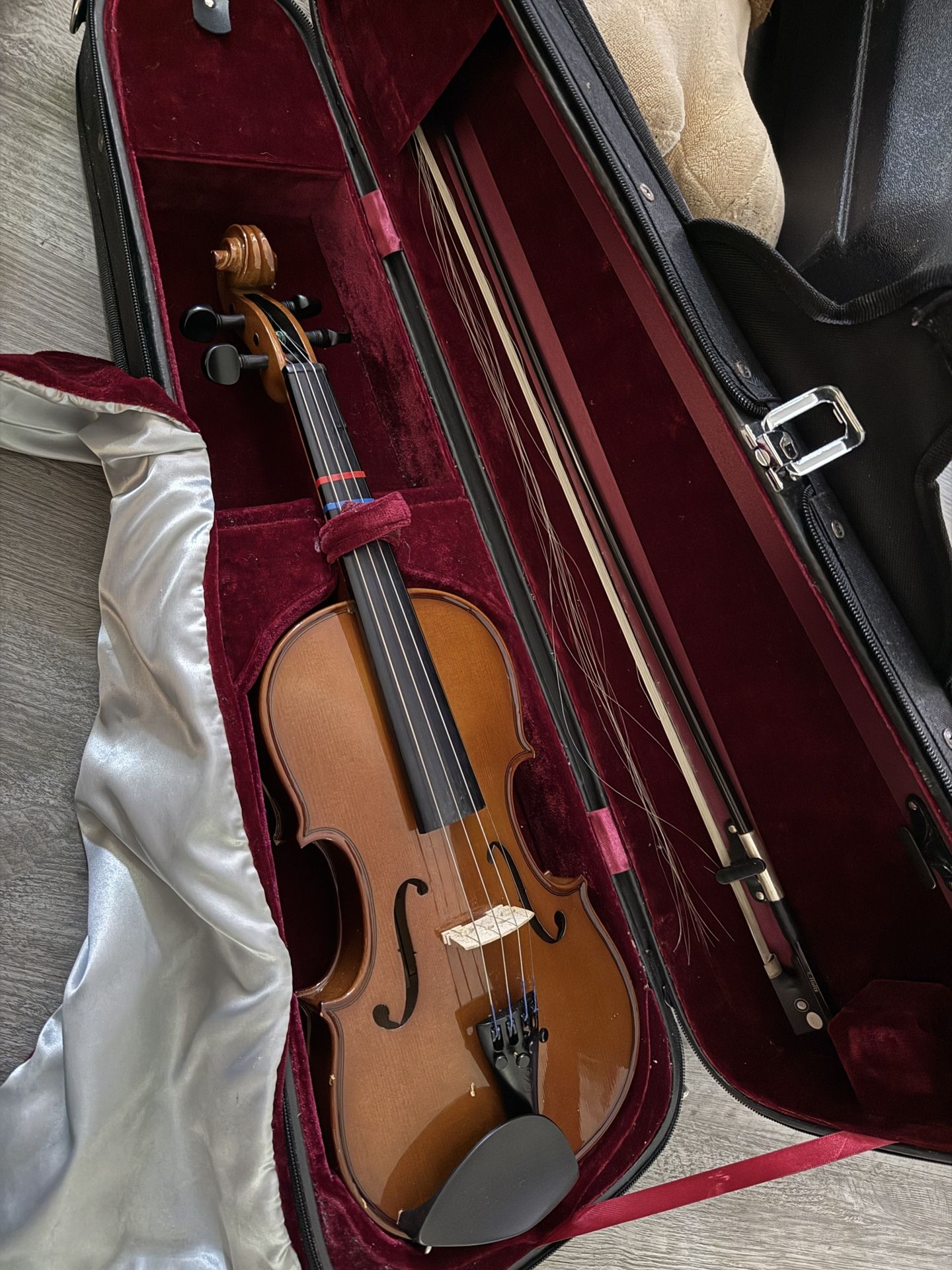 Violin