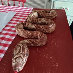 Bean Bag Boa Constrictor Stuffed Animal 5' Long