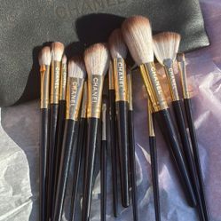 Professional Make Up Brushes New In Bag