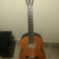 Classical Acoustic Guitar