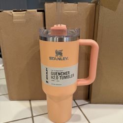 Stanley Quencher 