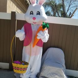 🐰 EASTER BUNNY VISIT 🐰