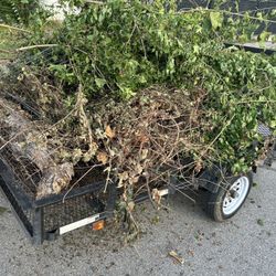 Debris Removal 
