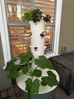 Tower Garden