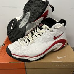 Nike Air Jordan, OG dunks force max zoom Kobe