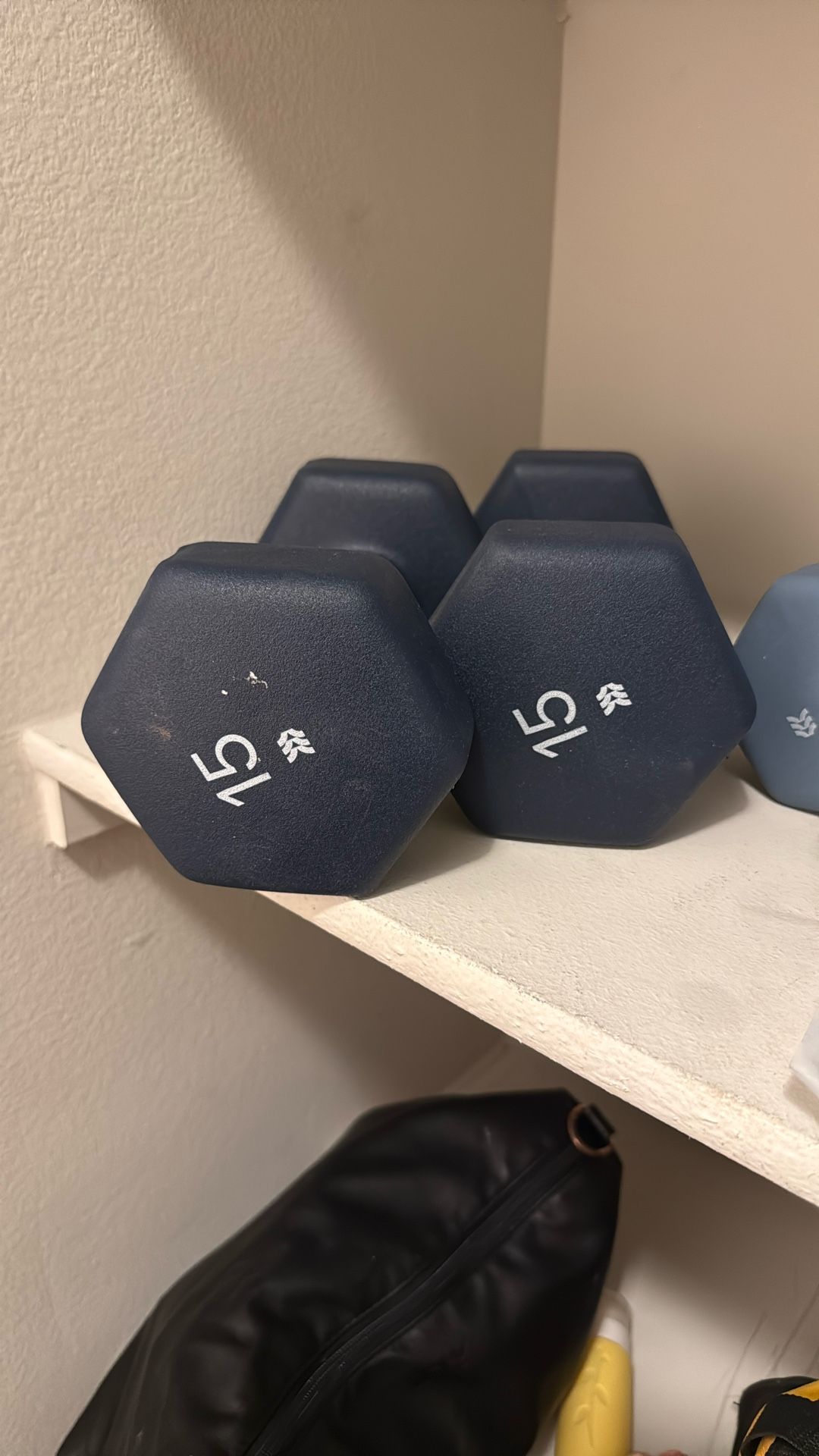 15 Lbs Dumbbells