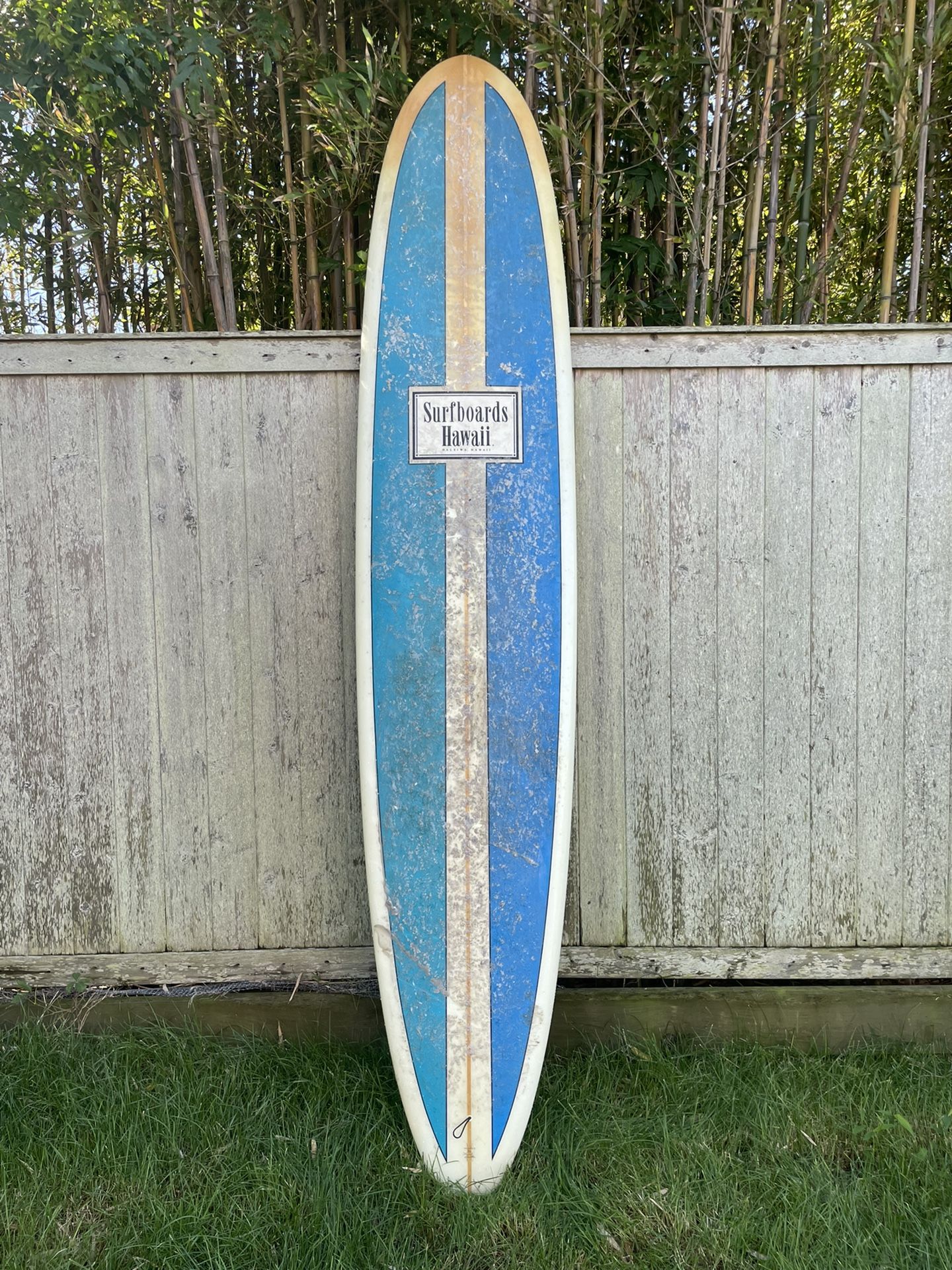 Surfboards Hawaii Long Surf Board
