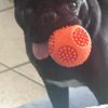 fabricio