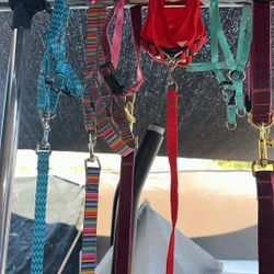 Collar Con Lazo 