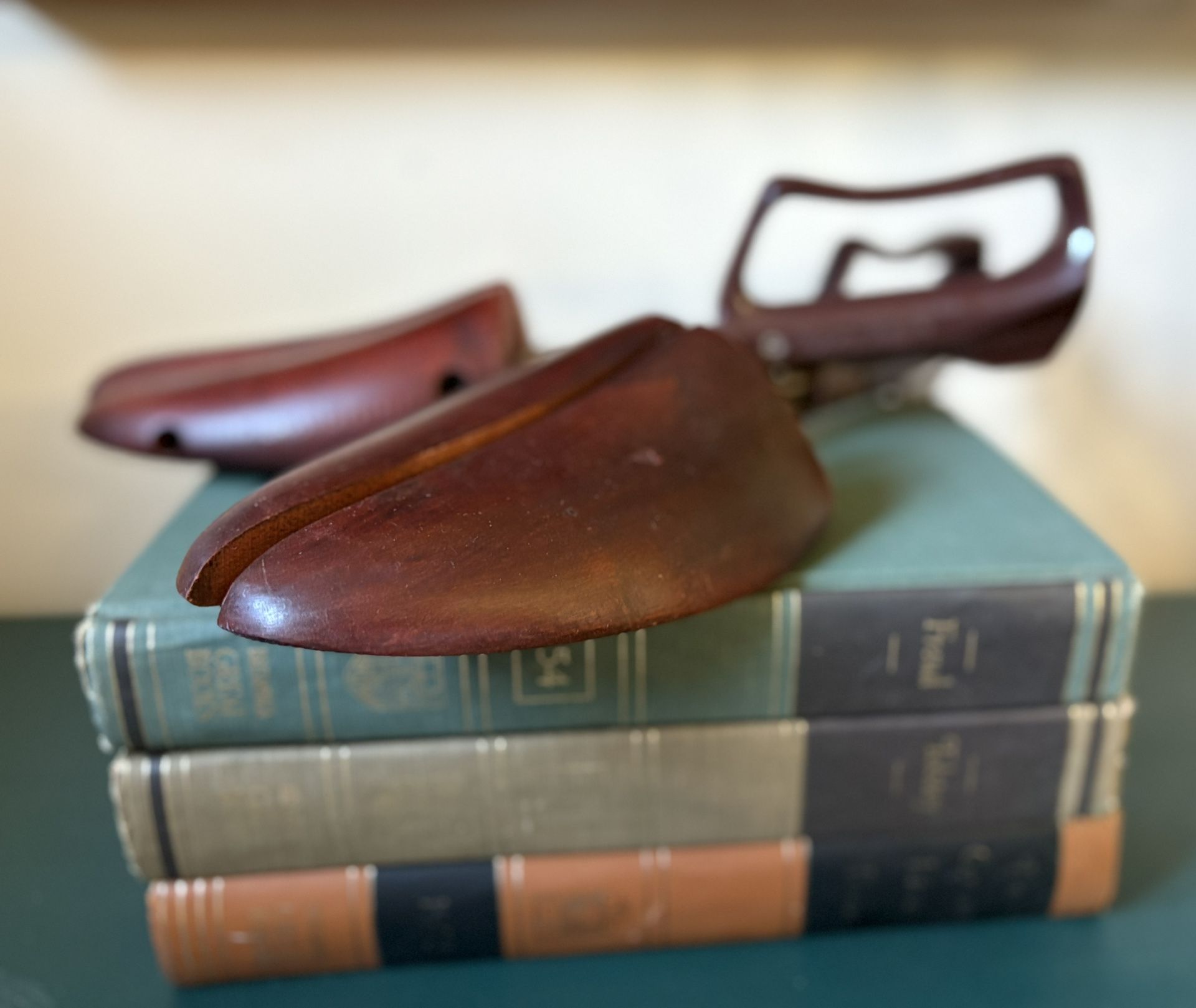 Vintage Shoe Keepers