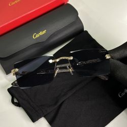 Cartier Unisex Sunglasses 