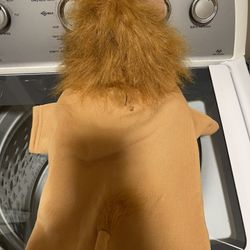 Medium dog lion Halloween costume