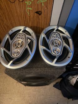 Car speaker system