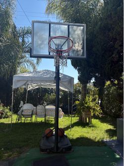 Basketball Hoop