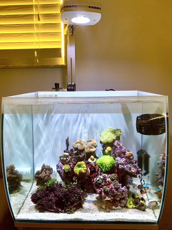 marine aquarium supply marine aquarium supply