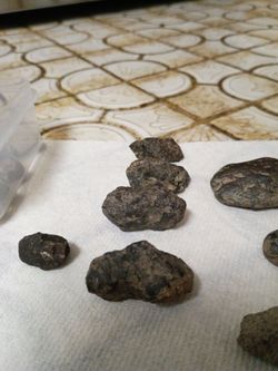 Meteorite collection