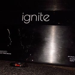 Brand New!4000 Watt /1600 RMS true Watts mono block Amp. Very strong! A Beast !