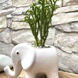 Last updated 8 days ago in Everett, WA