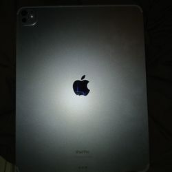 Ipad Pro 13in