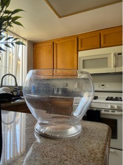 fish bowl