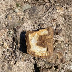 *Send Offers* San Francisco Iron Rock With Letter C