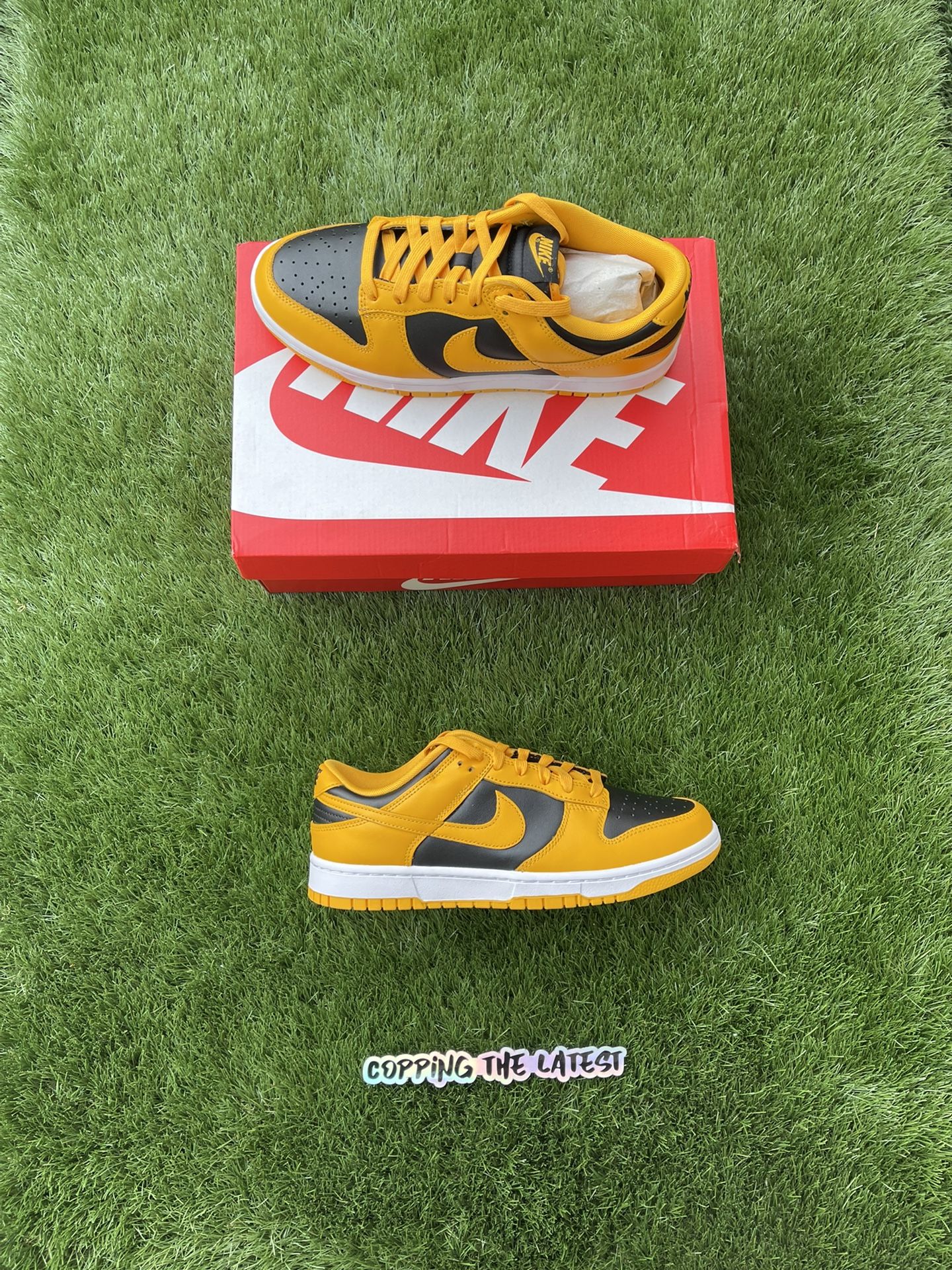 スケートボード Nike \"Championship Goldenrod\"25.0 Nike Dunk Low 