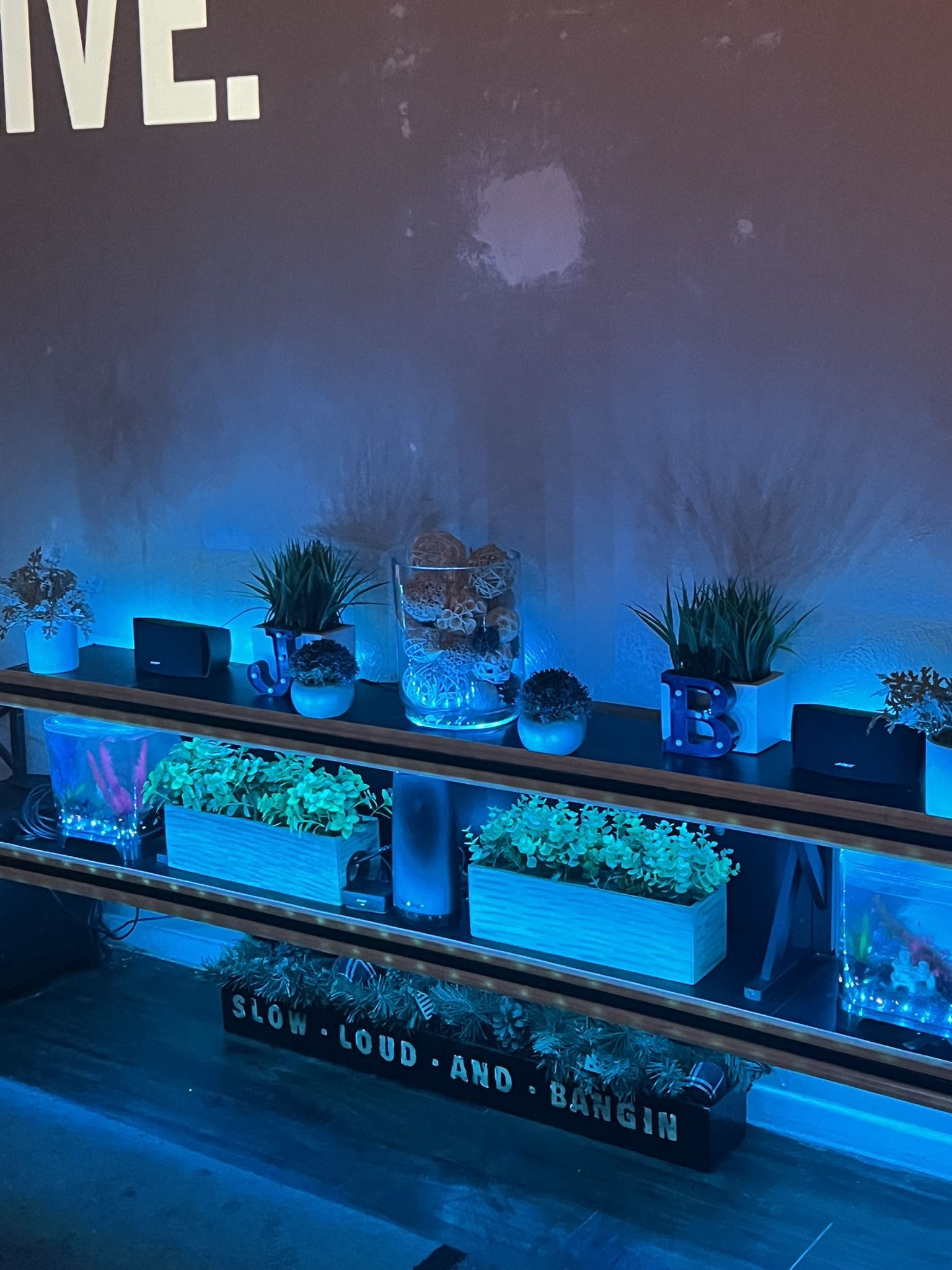 LED Floating Shelf // Decor // Beta Tanks // Artificial Plants