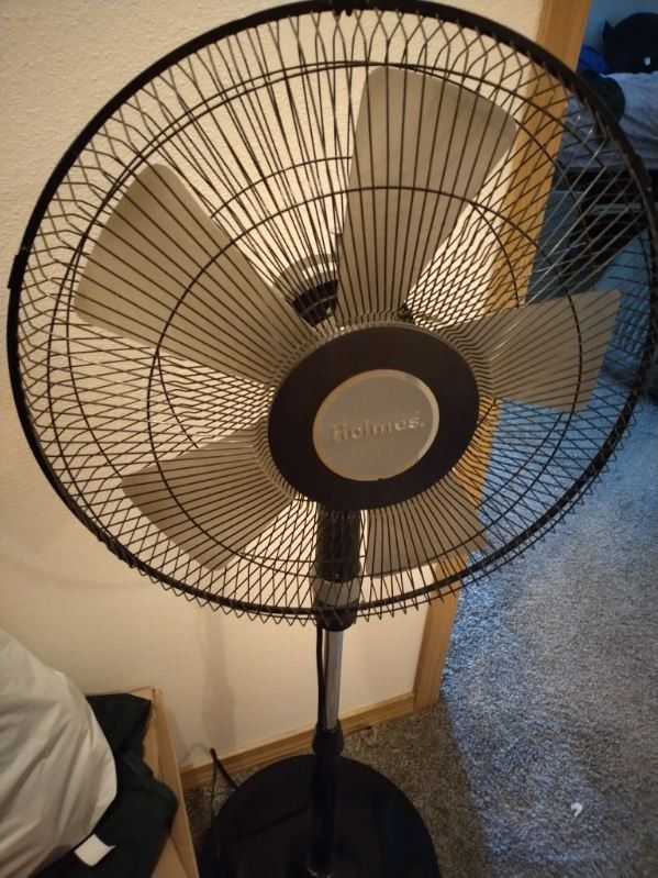 Holmes Oscillating Pedestal Fan