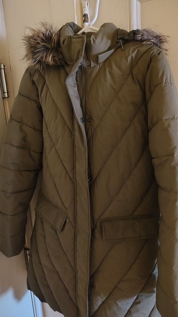 New Maurice Winner Coat