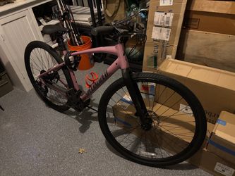 Specialized bike