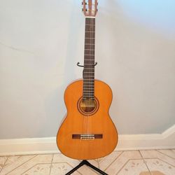Acoustic Guitar