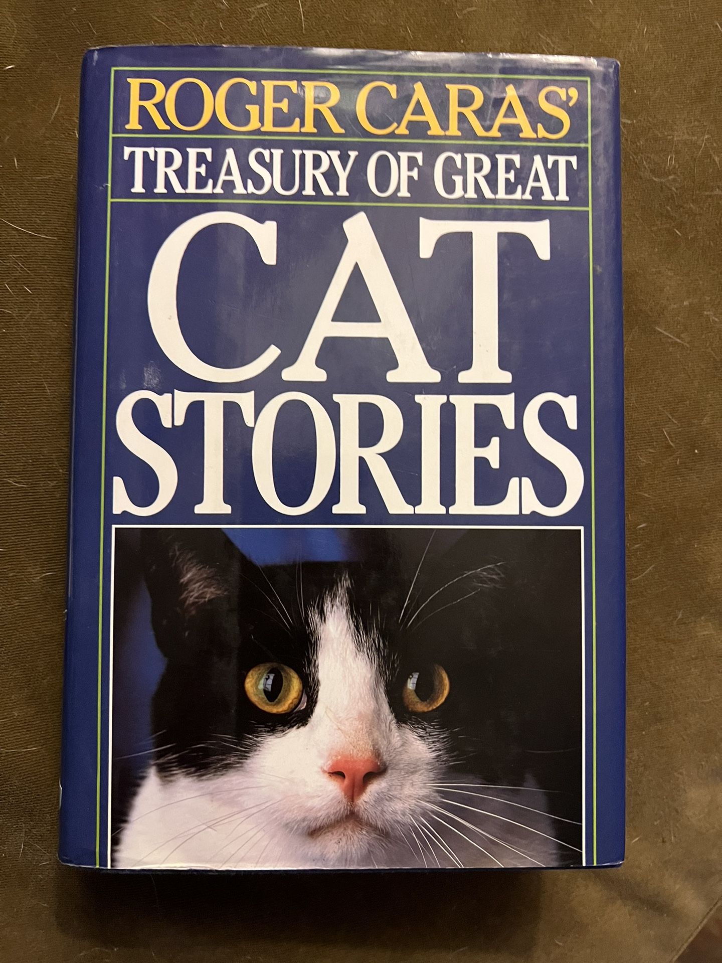 Cat Stories