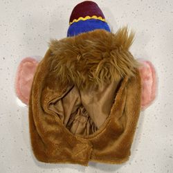 Abu Disney costume