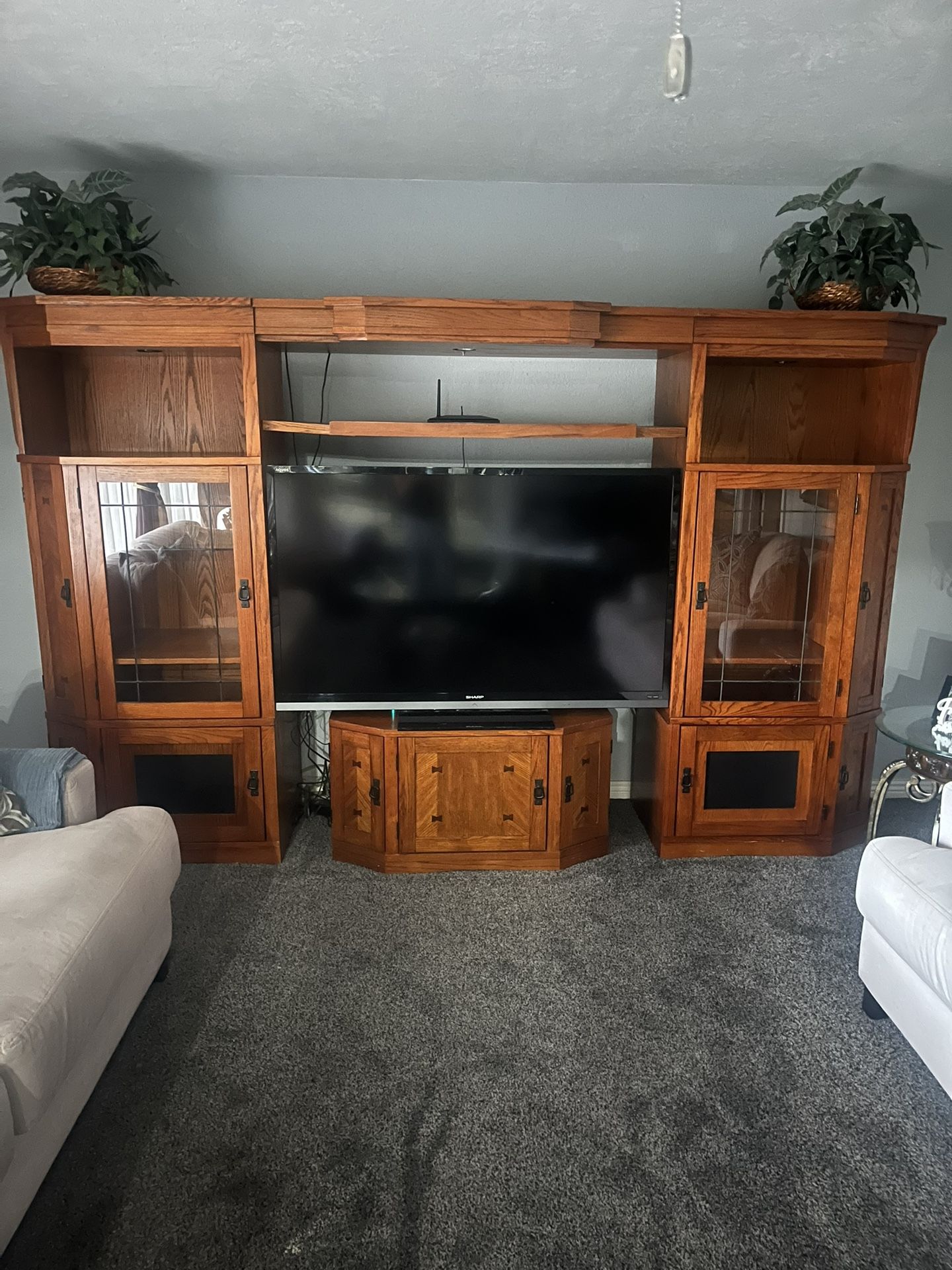Lighted Wall Unit/Media Center 