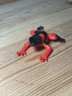 Safari Ltd Poison Dart Frog Red Black Wildlife Nature 3” Figure #scrappy