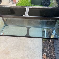 55 Gallon Fish Tank