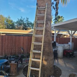 Heavy Duty Ladder