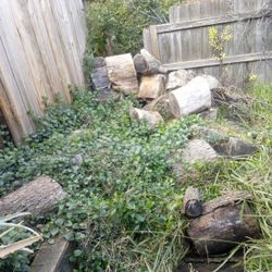 Seasoned Oak Fire Wood. $50 For All Of It. I Will Help You Load It Up. 