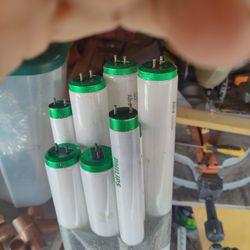 P 4 Ft Fluorescent Bulbs
