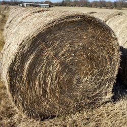Hay Round Bales