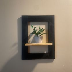 Frame and close shelf