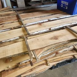 Bundle Sale All Cypress