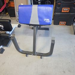 Weight Bench