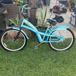 Beach Cruiser 3G