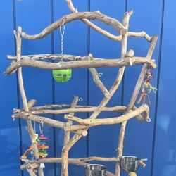 Funky n Curvy African Grey - Amazon Parrot Perch Tree…. All Unique In Hard Durable Ribbon Wood ! 
