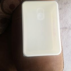 Pioneer woman Plastic Storage Container 